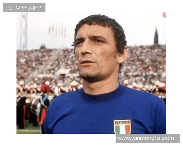 足球明星博文的传奇故事与辉煌成就揭秘